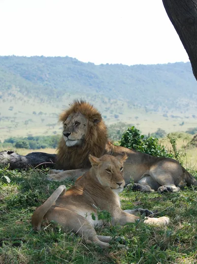 Moonsama; Kenya Wildlife Trust; Sovereign Nature Initiative